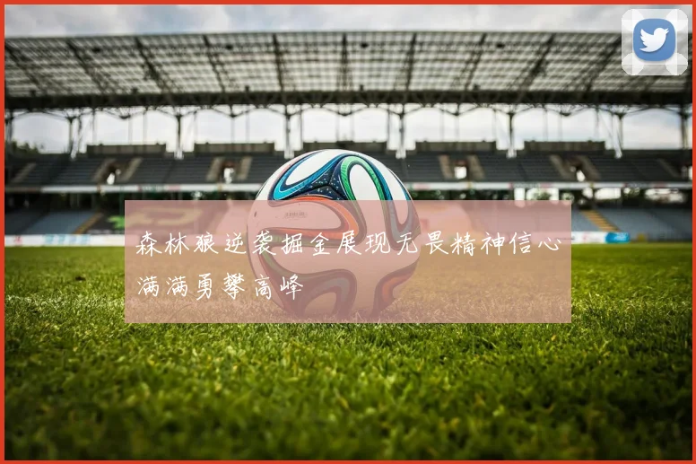 森林狼逆袭掘金展现无畏精神信心满满勇攀高峰
