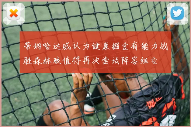 蒂姆哈达威认为健康掘金有能力战胜森林狼值得再次尝试阵容组合