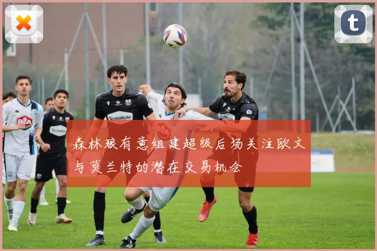 森林狼有意组建超级后场关注欧文与莫兰特的潜在交易机会